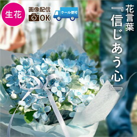 【7日前予約品】 結婚祝い 花 おしゃれ 結婚記念日 プレゼント 妻 『 ブルースター の アレンジメント フラワー 』 アレンジ 青い花 結婚式 電報 新築祝い 引っ越し 友人 快気祝い 生花 誕生日プレゼント 女友達 女性 誕生日 母親 義母 20代 30代 50代 60代 お祝い