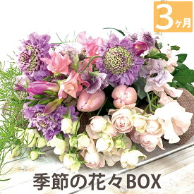 定期便 生花 送料無料 【花々BOX Bコース3ヶ月（全3回）】 ギフト お祝い 頒布会 お花の定期便 毎月届く 花束 毎月 届く花 お花