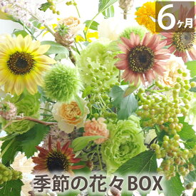 定期便 生花 【花々BOX　Dコース6ヶ月（全6回）】 送料無料 ギフト お祝い 頒布会 お花の定期便 毎月届く 花束 毎月 届く 花 お花