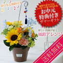 父の日 お誕生日祝い『風鈴アレンジ』父の日ギフト プレゼント ギフト お父さん お父さん 誕生日 お礼 ひまわり 父の日 人気 花 義理 父 プレゼント 叔父 ...