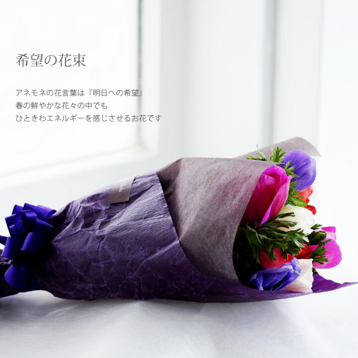 楽天市場 7日前予約品 結婚祝い 花 生花 花束 誕生日 母 春 花言葉 明日への希望 アネモネ 10本 春の花 退職祝い プレゼント 女性 おしゃれ 誕生日プレゼント 女友達 ギフト 母親 義母 30代 50代 新築祝い 友人 プロポーズ 結婚記念日 妻 ホワイトデー チョコ