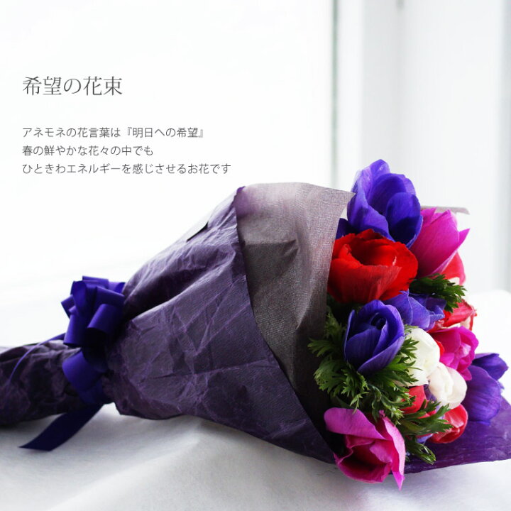 楽天市場 7日前予約品 定年 退職 プレゼント 退職祝い 女性 おしゃれ 花 花言葉 明日への希望 アネモネ 本 生花 花束 誕生日プレゼント 母親 60代 女友達 ギフト 還暦祝い 母 義母 フラワーギフト 誕生日 お花 送別会 就職祝い 結婚記念日 妻 夫 両親