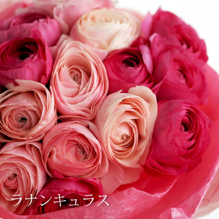 楽天市場 7日前予約品 花束 退職祝い 生花 誕生日 ラナンキュラス 15本の 花束 フラワーギフト 送料無料 花ギフト 誕生日プレゼント 女性 おしゃれ 花 母 義母 贈り物 女性 お返し ギフト 卒業祝い プレゼント 送別会 結婚記念日 妻 就職祝い 合格祝い 母の日 定年