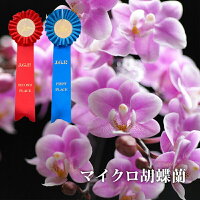 Room 検索結果