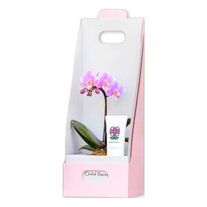 v[g pI Ӓ j v[g A  nhN[ w }CNӒ nhN[ Zbg  x ~jӒ Mtg  ސEj  Ԕ av[g 