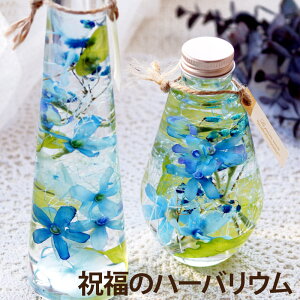 j v[g   Mtg w u[X^[ n[oE Lx t[Mtg jd d  LO e  Vzj zj Fl av[g FB 20 