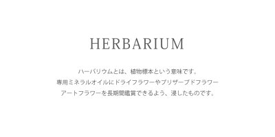 ハーバリウム『ブルースターハーバリウム』アートプリザーブドフラワーギフトブリザードフラワーお祝いプレゼントハーバリューム結婚記念日結婚祝いホワイトデーブリザーブドフラワープリザードフラワープリザ