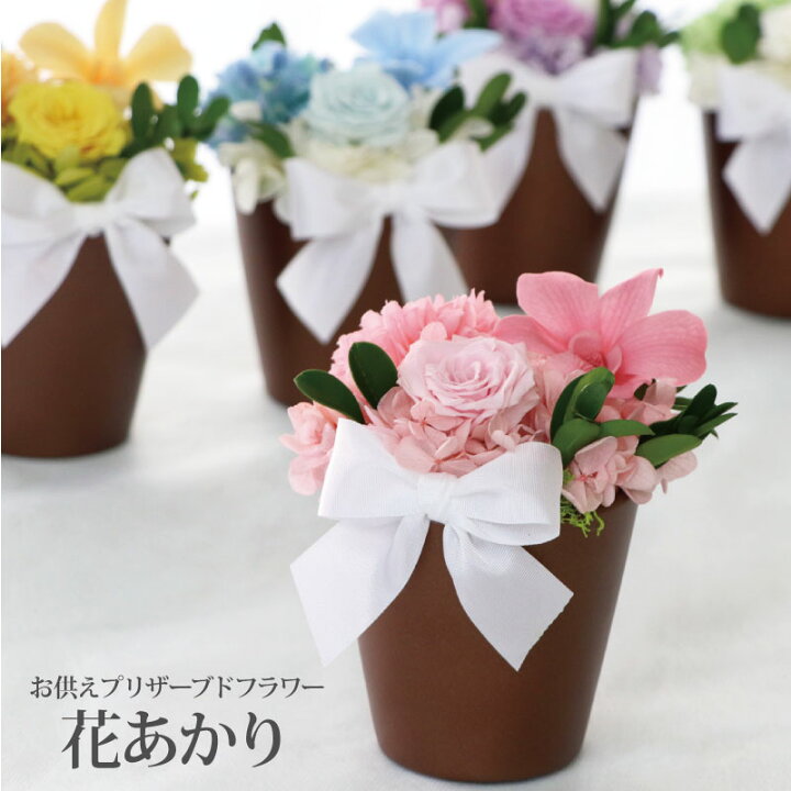 楽天市場 あす楽16時まで プリザーブドフラワー 仏花 ミニ お供え 花 花あかり お悔やみ お花 献花 お供え花 供花 一周忌 お供え物 贈り物 プレゼント ギフト アレンジメント 供養 仏壇用 枯れない花 お悔み 命日 お盆 初盆 新盆 お彼岸 ペット 供養 犬