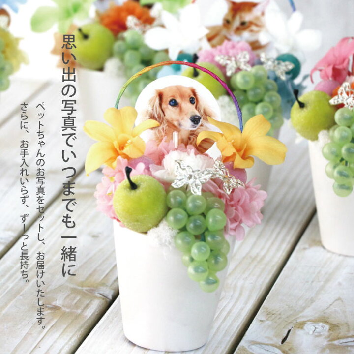 最大46 Offクーポン お盆 お供え 花 ペット 虹の橋 プリザーブドフラワー お悔やみ お花 アレンジ 写真入り 犬 猫 仏花 仏壇用 供花 供養花 枕花 命日 宅配 贈り物 Flyingjeep Jp