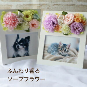 犬 お悔やみ 花の人気商品 通販 価格比較 価格 Com