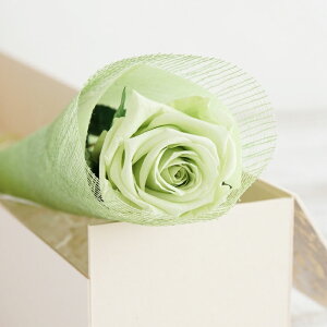 d     jd w o  ԓd x LO  e v[g [Y KN j FB  FB  vU[uht[ v|[Y җj    a