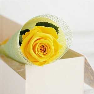 d     jd w o  ԓd x LO  e v[g [Y KN j FB  FB  vU[uht[ v|[Y җj    a