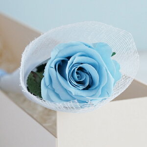 ytwz d d   o  w  d x   蕨 V    vU[uht[  ͂Ȃ @   ybg  