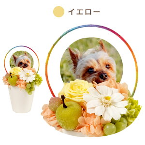 【日付指定可】 プリザーブドフラワー お供え ペット 仏花 『 虹の橋 』 ミニ 仏壇 犬 お悔やみ 贈り物 四十九日 法要 メモリアルグッズ 写真 メモリアル ペット供養 供養花 命日 お供え物 お