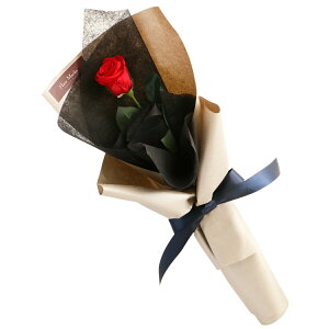 o v|[Y vU[uht[ KN ԑ { w wNGXg [Y x av[g ޏ    ỏԑ  j LO v[g  e 10N 