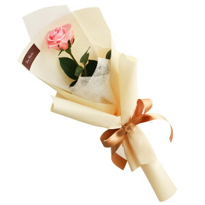 o v|[Y vU[uht[ KN ԑ { w wNGXg [Y x av[g ޏ    ỏԑ  j LO v[g  e 10N 