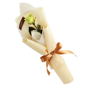 o v|[Y vU[uht[ KN ԑ { w wNGXg [Y x av[g ޏ    ỏԑ  j LO v[g  e 10N 