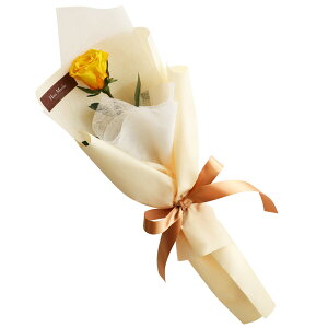 o v|[Y vU[uht[ KN ԑ { w wNGXg [Y x av[g ޏ    ỏԑ  j LO v[g  e 10N 