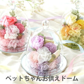 【あす楽＆日付指定可】 ペット お供え 花 プリザーブドフラワー 仏花 『 虹の橋 ペットちゃんの お供え ドーム 』 ガラスドーム ミニ 仏壇用 犬 お悔やみ 贈り物 ペット供養 お供え花 おしゃれ 枯れない仏花 供養花 ギフト 四十九日 一周忌 お供え物 猫 プリザ お盆 お彼岸