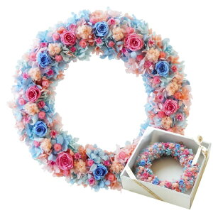 �y7���O�\��i�z �d�� ������ �� �v���U�[�u�h�t�����[ ���[�X L�T�C�Y ���� �� ���킢�� �w �C���[�e�� �X�y�V�������[�XL�x �j�d �����j�� �v���[���g �������� ���� �M�t�g ������� ���F