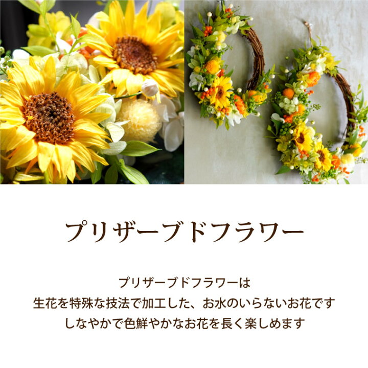 楽天市場 あす楽16時まで 壁掛け インテリア おしゃれ プリザーブドフラワー ひまわり リース M 新築祝い プレゼント 友人 引っ越し祝い 玄関 ドア ウェルカム リース 母 母親 誕生日プレゼント 女友達 ギフト 女性 代 30代 開店祝い サロン 母の日 壁かけ