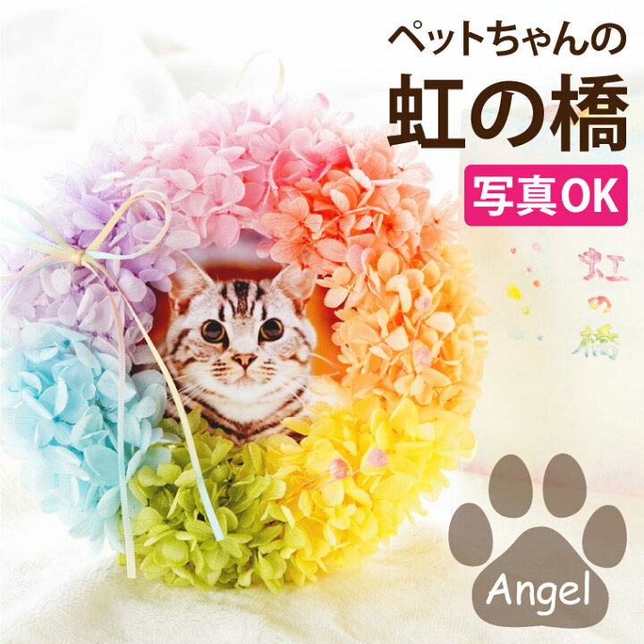楽天市場 あす楽16時まで ペット お供え 花 犬 お悔やみ 贈り物 お彼岸 虹の橋 リース Angel お供え花 おしゃれ メモリアル フォトフレーム 写真 写真立て ペット供養 仏花 プリザーブドフラワー 供養花 供花 お供え物 命日 一周忌 法事 法要 仏壇用 四十九日 49日