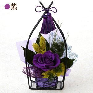 _ 50~N[|^ җj vU[uht[    v[g w a Ԃ x Ď j av[g e 60  Êj   P j ` c