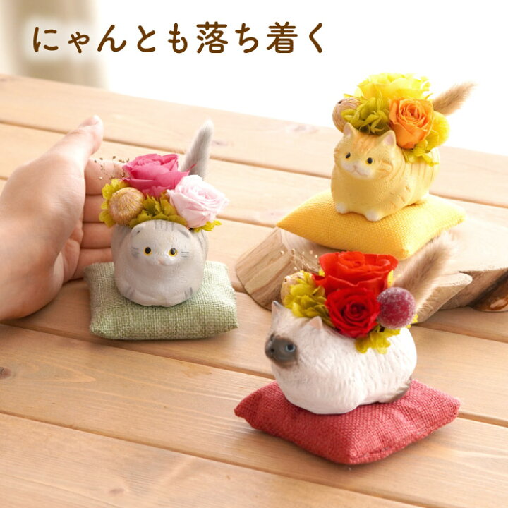 楽天市場】猫好き 雑貨 プレゼント プリザーブドフラワー 傘寿 お祝い 