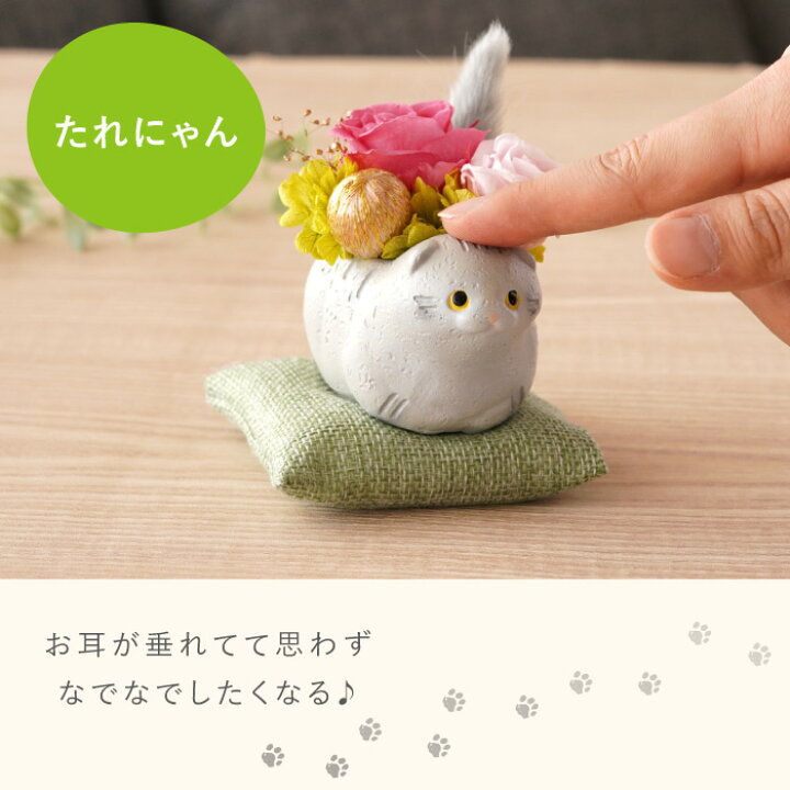 楽天市場】猫好き 雑貨 プレゼント プリザーブドフラワー 傘寿 お祝い 