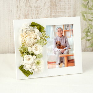 ytwz vU[uht[  tHgt[ e w  ʐ^ x ybg ʐ^ t[     d 䕧O ͂Ȃ  @ @v l\