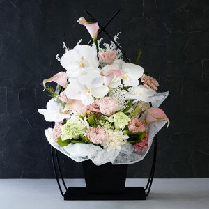 ytwzފ  ͂Ȃ     Ӓ  w   Ӓ x AWg vU[uht[  J[l[V  蕨  ͂