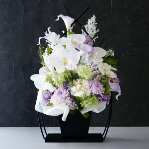 ytwzފ  ͂Ȃ     Ӓ  w   Ӓ x AWg vU[uht[  J[l[V  蕨  ͂