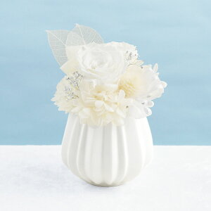 ytwz d d l\@v     w   x vU[uht[ dp ~jTCY  d 䕧O  ͂Ȃ  @ @v 