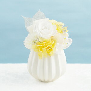 ytwz d d l\@v     w   x vU[uht[ dp ~jTCY  d 䕧O  ͂Ȃ  @ @v 