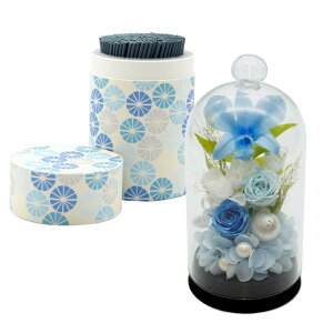 ytwz vU[uht[  ~j h[ dp ފ  ͂Ȃ w  KXh[  Zbg x 蕨    Zbg  Zbg 