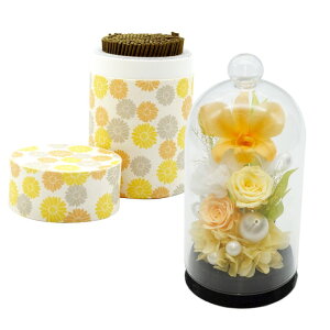 ytwz vU[uht[  ~j h[ dp ފ  ͂Ȃ w  KXh[  Zbg x 蕨    Zbg  Zbg 