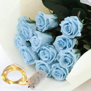 v|[Y vU[uht[ ObY TvCY w v|[Y ԑ o 12{ x LO  ގ ޏ LO v[g  v u[P  Mtg av[g  30 50