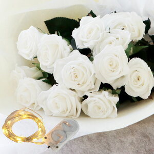 v|[Y vU[uht[ ObY TvCY w v|[Y ԑ o 12{ x LO  ގ ޏ LO v[g  v u[P  Mtg av[g  30 50