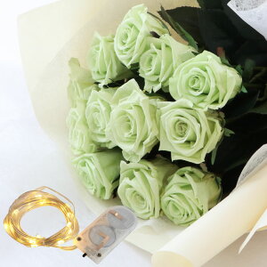 v|[Y vU[uht[ ObY TvCY w v|[Y ԑ o 12{ x LO  ގ ޏ LO v[g  v u[P  Mtg av[g  30 50