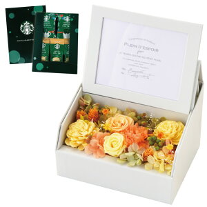  ʐ^ җj  vU[uht[ ʐ^ َq w tHg{bNX x tHgt[ j v[g ʐ^ av[g e `  50 70 c Êj 