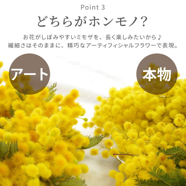 楽天市場 あす楽16時まで 玄関 ドア ウェルカム リース 北欧 造花 本物以上 ふわふわ ミモザ のリース 春の花 かわいい おしゃれ 新築祝い プレゼント 友人 引っ越し祝い 誕生日プレゼント 女性 母親 50代 60代 女友達 30代 花 フラワーリース 壁飾り 壁掛け