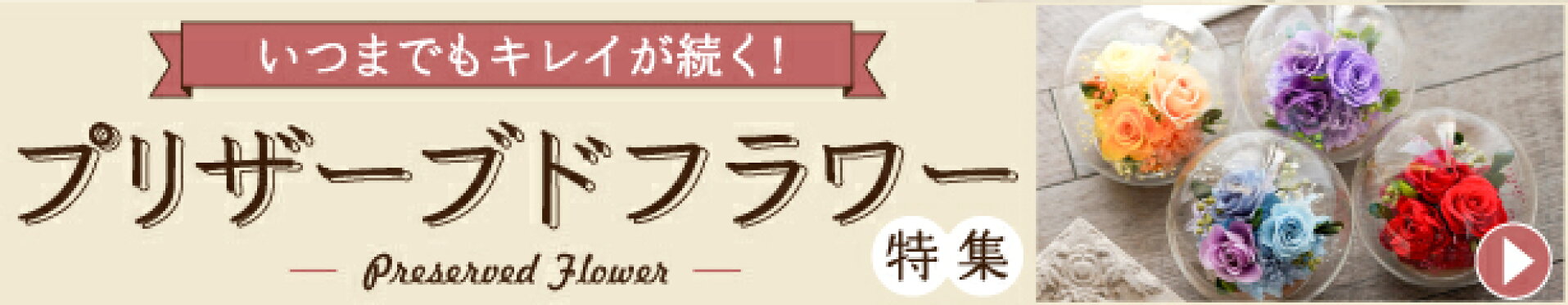 プリザ特集