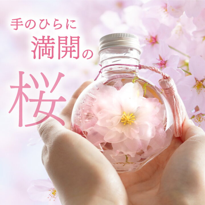 楽天市場】プレゼント 花『 桜 ハーバリウム S』 退職祝い 女性  