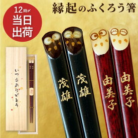 誕生日プレゼント ペア 夫婦箸 名入れ 箸 【 若狭塗 ふくろう ぷくまる 縁起箸 夫婦 お箸 セット 2膳 】 ペアセット 結婚記念日 プレゼント 両親 結婚式 名前入り めおと箸 梟 かわいい 名入り 金婚式 結婚祝い 木婚式 還暦 古希 孫 クリスマス