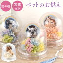 【日付指定可】 ペット お供え 花 プリザーブドフラワー 仏花 ドーム 『メモリー ポット』 ミニ 犬 お悔やみ 贈り物 …