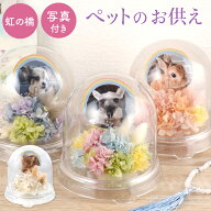 ペット お悔やみ 贈り物 ペット お供え 花 プリザーブドフラワー 仏花 ドーム 虹の橋 【日付指定可】 『…