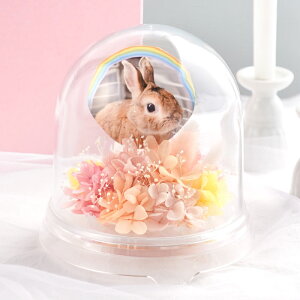 ytwz ybg   vU[uht[  h[ w[ |bgx ~j   蕨 ʐ^ e  ybg{   49 l\ @v  