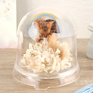 ytwz ybg   vU[uht[  h[ w[ |bgx ~j   蕨 ʐ^ e  ybg{   49 l\ @v  