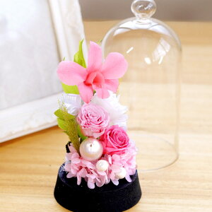 �y���t�w��z �K���X�h�[�� ���� ���ފ� �� ������ �͂�Ȃ� �v���U�[�u�h�t�����[ ���蕨 �������� �w �������� �h�[�� �x ���d ���� �~�j �P�[�X���� ���d�p �@�� ����� �d�� ���d �@�v 