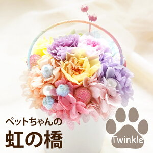 ybg {     蕨 ފ  w ̋ Twinklex ybg{  vU[uht[ ~j ~jd ͂Ȃ dp  d 49 @v   
